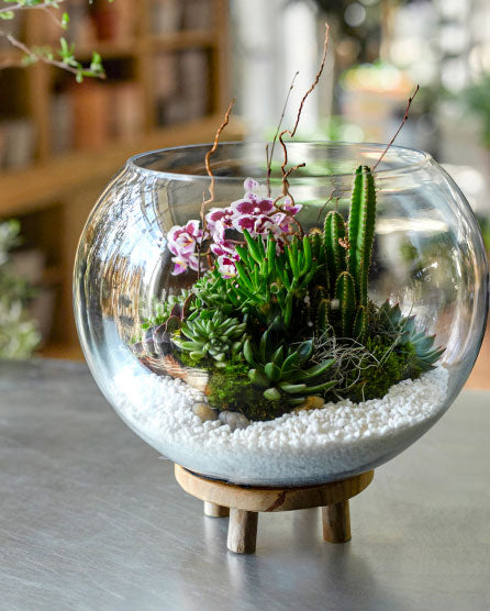 Round Glass Aquarium Bowl Only