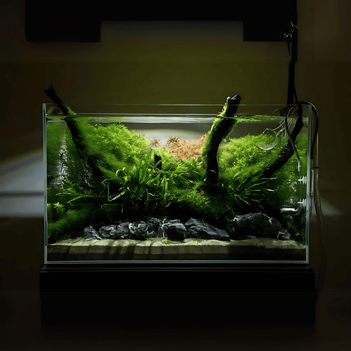 2 Feet Ultra Clear Open Tank (L*W*H = 60*40*40 Cms) | 8mm