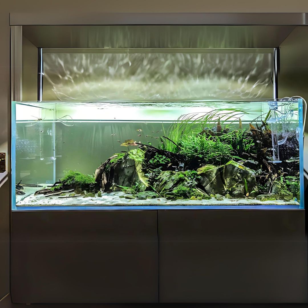 Customized Ultra Clear Open Tank (L*W*H = 120*45*45 Cms) | 12mm