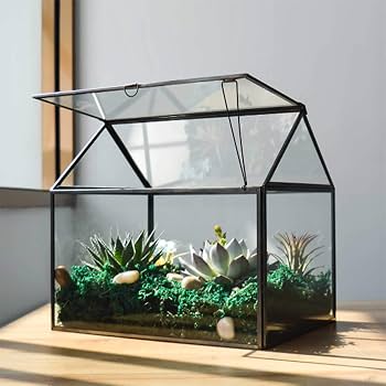 House Shaped Geometric Glass Terrarium Box L*W*H = 7*5*6 Inches