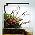 CHIHIROS C II WRGB Aquarium Nano Led Light For Planted Aquarium