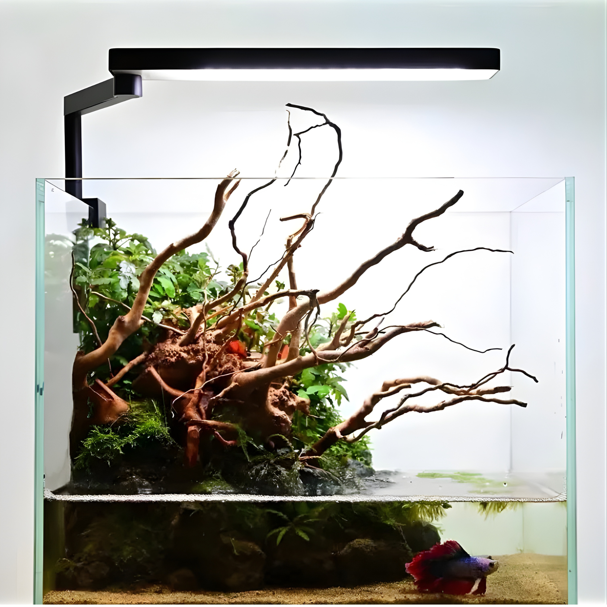 CHIHIROS C II WRGB Aquarium Nano Led Light For Planted Aquarium