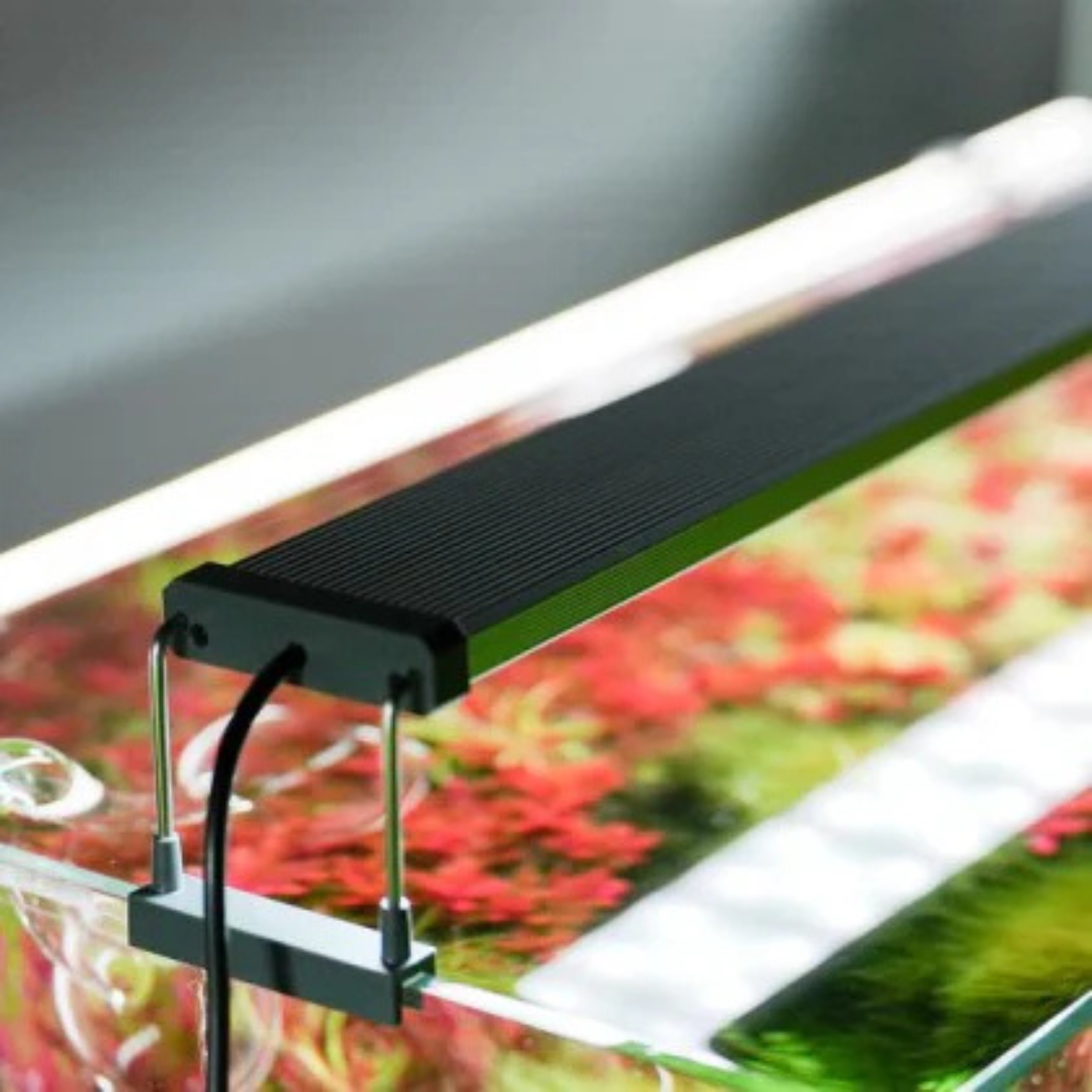 CHIHIROS LED WRGB 120 For Planted Aquarium  – Bluetooth Edition