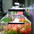 CHIHIROS LED WRGB II Slim-30 For Planted Aquarium  – Bluetooth Edition