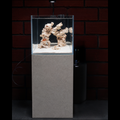 Marine Tank Full Kit