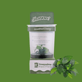 Sreepadma B5C Anubias Nana / Dwarf Anubias | Cup Live Plant