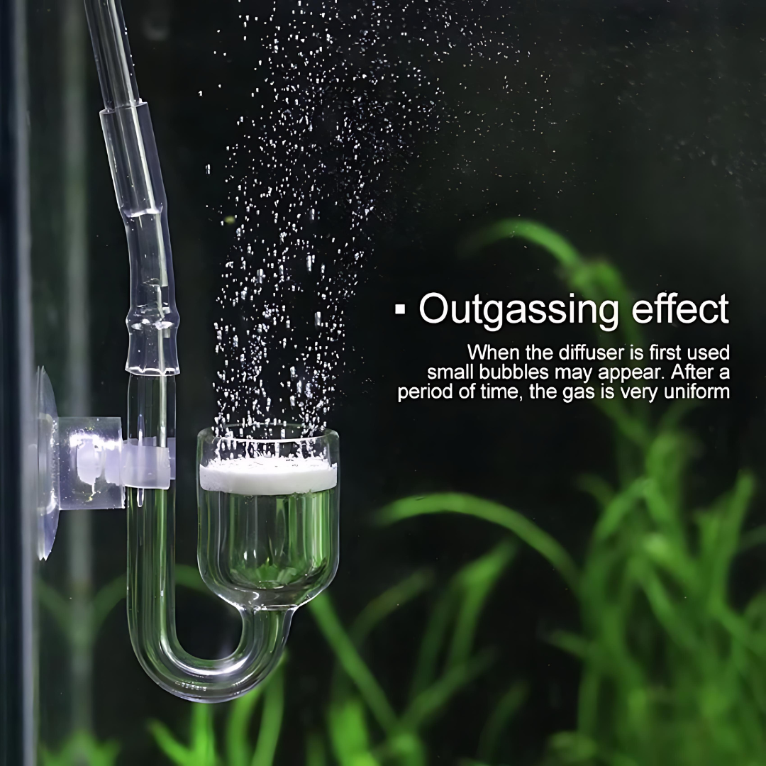 CO2 Glass Diffuser M Size