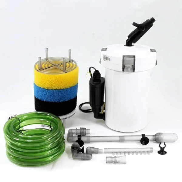 Canister