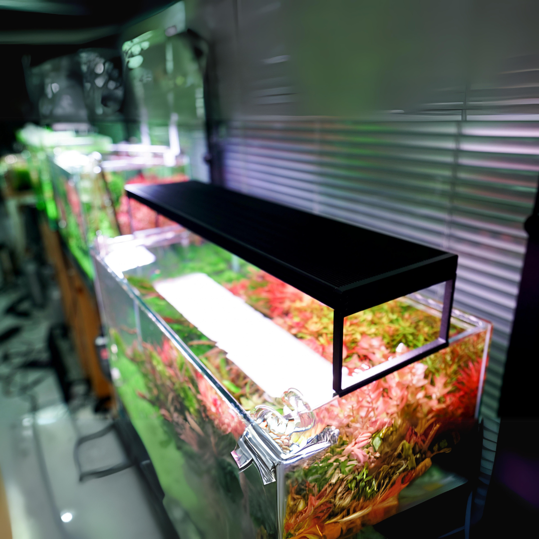 CHIHIROS LED WRGB II Slim-30 For Planted Aquarium  – Bluetooth Edition