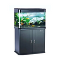 Wooden Cabinet Only  Imported (L=60*W=30*H=60) Cms