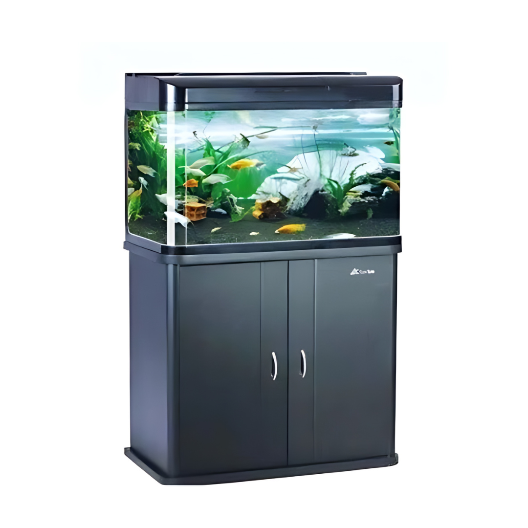 Wooden Cabinet Only  Imported (L=60*W=30*H=60) Cms