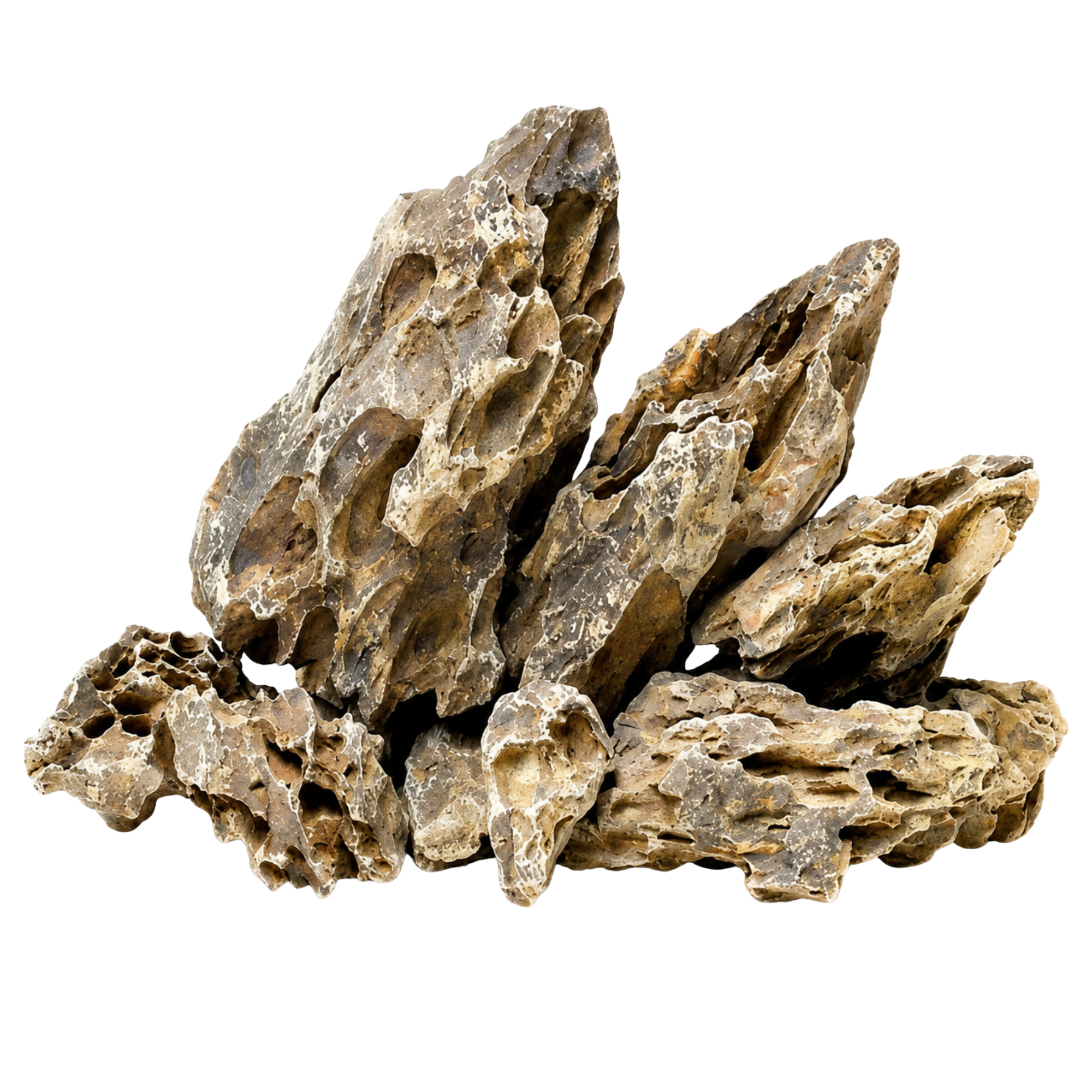 Decor Dragon Rock/Bamboo Rock - 1 Kg