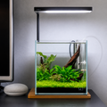 Customize Cubic Ultra Clear Tank Only (L*W*H = 8*8*8 inches) | 5mm