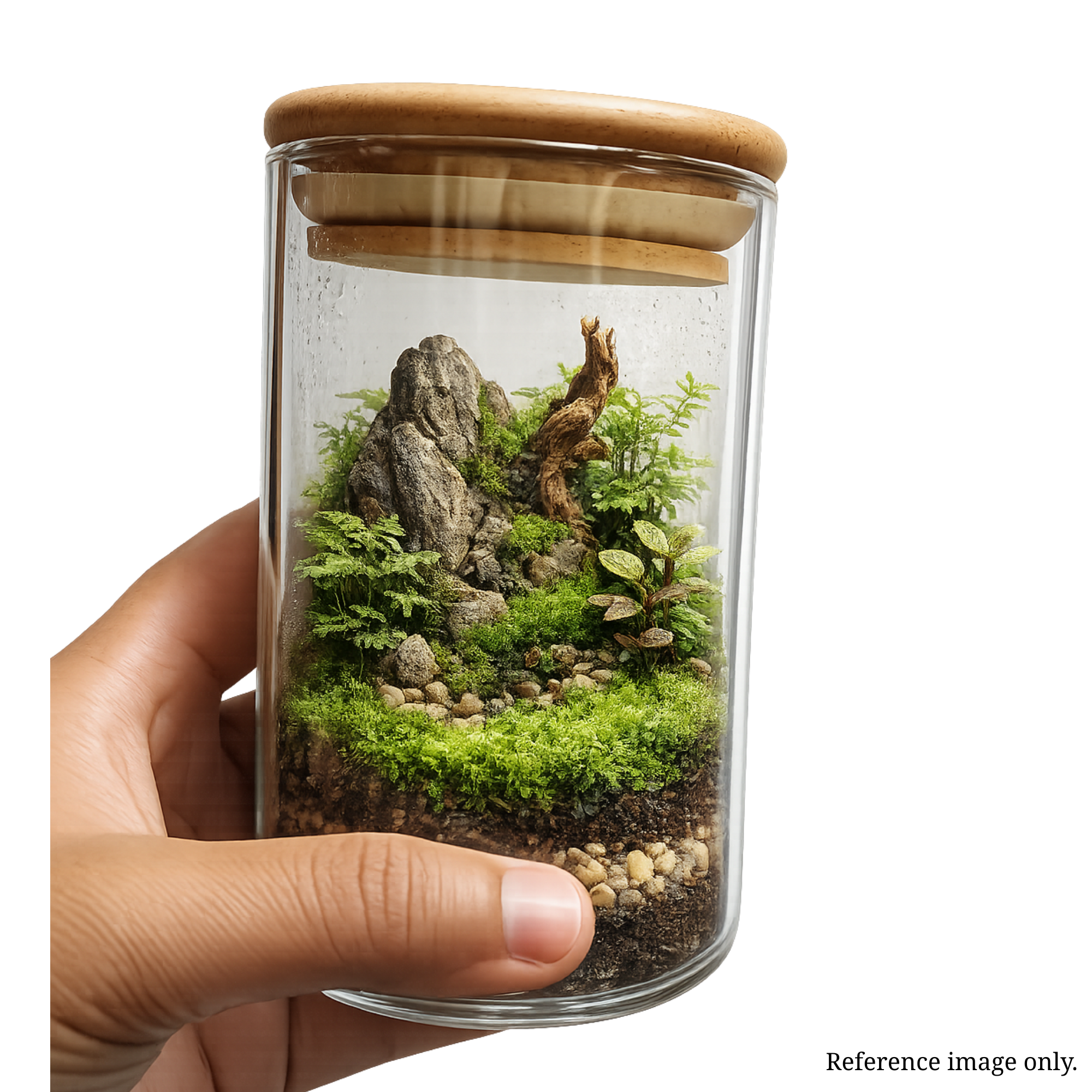 Mini Terrarium Glass Jar with Bamboo Lid | Single
