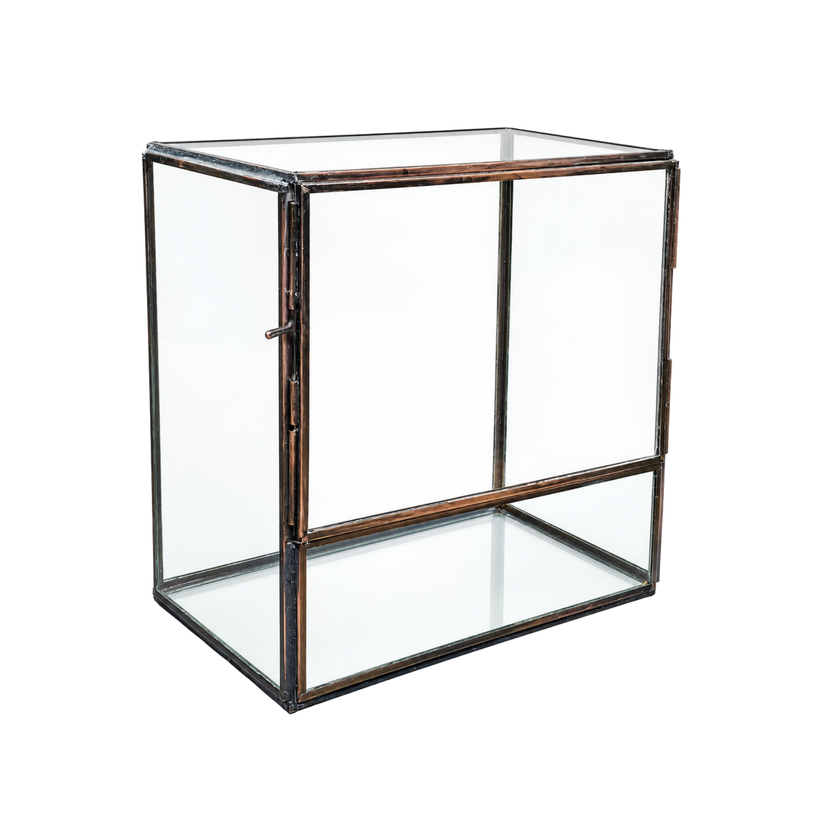 Metal Framed Terrarium Box