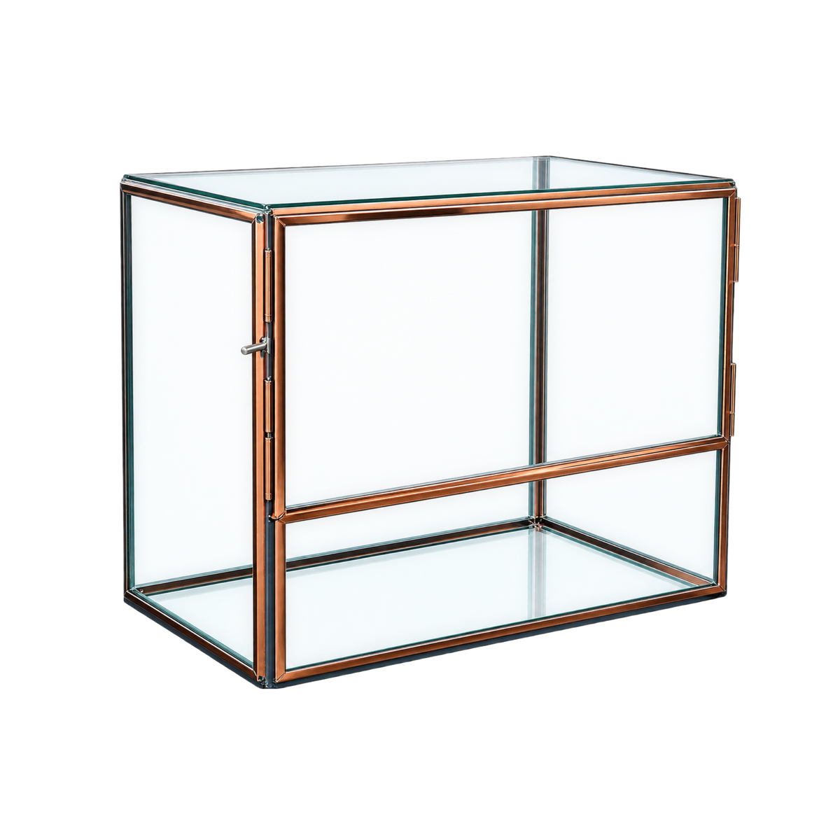Metal Framed Terrarium Box