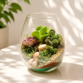 Terrarium Bowl Only | H*W = 8*7 Inches 4mm