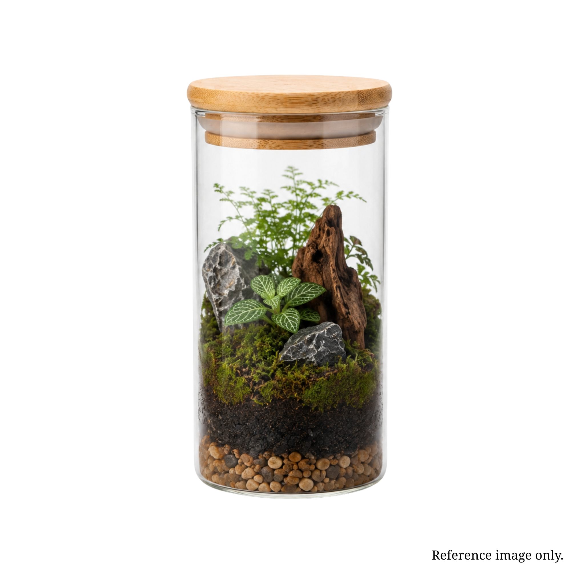 Mini Terrarium Glass Jar with Bamboo Lid | Single