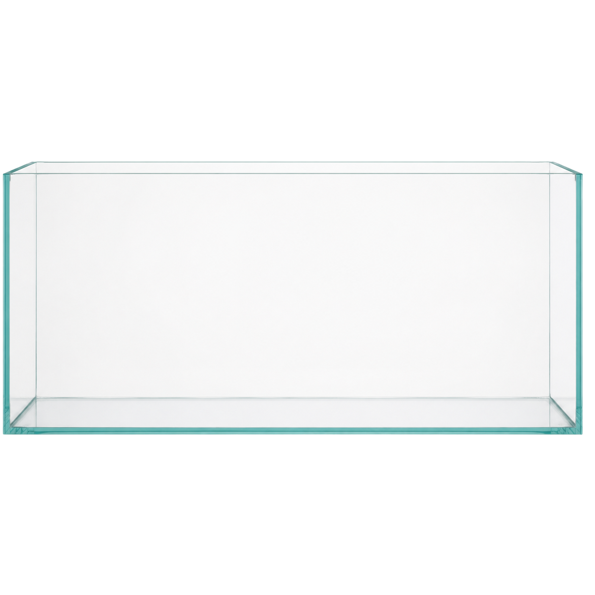 Clear glass aquarium on a white background